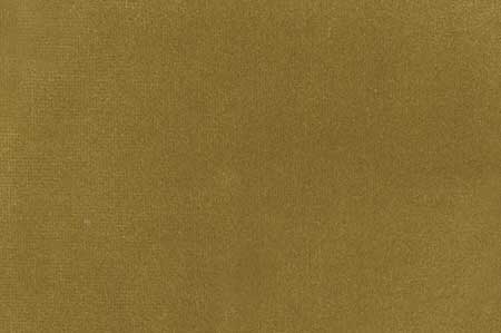 Plush Velvet - Mustard