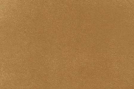 Plush Velvet - Golden