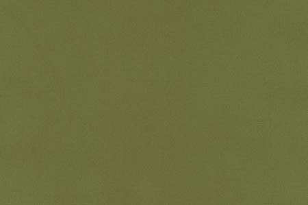 Serene Velvet - Mossy